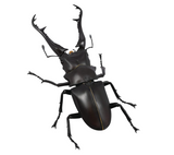 Kaiyodo RevoGeo: Prosopocoilus Giraffa Action Figure, Multicolor