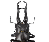 Kaiyodo RevoGeo: Prosopocoilus Giraffa Action Figure, Multicolor