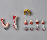 Kaiyodo Revoltech Amazing Yamaguchi Attack on Titan Female Titan Action Figure