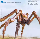 Hiya Toys Godzilla x Kong A New Empire, Scylla EBG0235 Super Action Figure, Painted Finished Product