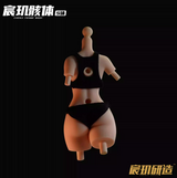 Chenji Frame Body 1/12 Coated Art Body-S Size