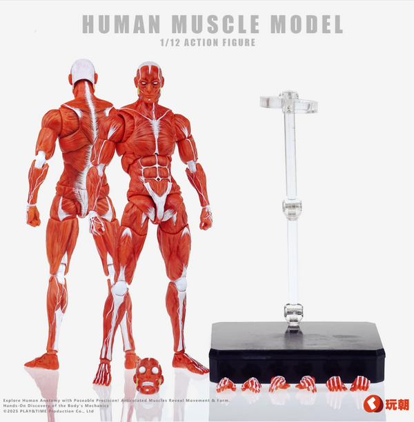 KEEPGOING 1/12 Human Muscle Model Super Movable Doll Red Color Version