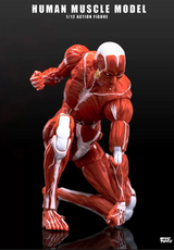 KEEPGOING 1/12 Human Muscle Model Super Movable Doll Red Color Version
