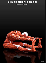 KEEPGOING 1/12 Human Muscle Model Super Movable Doll Red Color Version