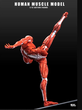 KEEPGOING 1/12 Human Muscle Model Super Movable Doll Red Color Version