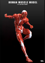 KEEPGOING 1/12 Human Muscle Model Super Movable Doll Red Color Version