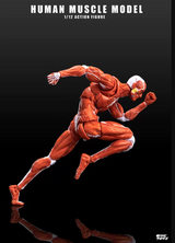 KEEPGOING 1/12 Human Muscle Model Super Movable Doll Red Color Version
