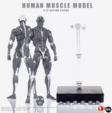 KEEPGOING 1/12 Human Muscle Model Super Movable Doll Black Color Version