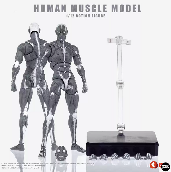 KEEPGOING 1/12 Human Muscle Model Super Movable Doll Black Color Version