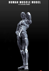 KEEPGOING 1/12 Human Muscle Model Super Movable Doll Black Color Version