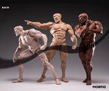 QS 1/12 MORFIG Male Body Black Vision