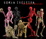 KEEPGOING 1/12 Human Skeleton Infernal Ballet-Red Vision