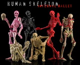 KEEPGOING 1/12 Human Skeleton Infernal Ballet-Black Vision