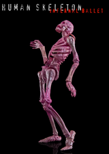 KEEPGOING 1/12 Human Skeleton Infernal Ballet-Pink Vision
