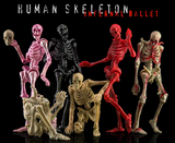 KEEPGOING 1/12 Human Skeleton Infernal Ballet-Pink Vision