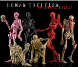 KEEPGOING 1/12 Human Skeleton Infernal Ballet-Bloodstains Vision