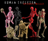 KEEPGOING 1/12 Human Skeleton Infernal Ballet-White Vision