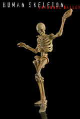 KEEPGOING 1/12 Human Skeleton Infernal Ballet-Primary Color Vision