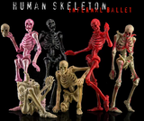KEEPGOING 1/12 Human Skeleton Infernal Ballet-Primary Color Vision