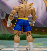 Storm Toys 1/12 Street Fighter ZERO 3 SAGAT SFSA03 STORM ARENA Action Figure Toy