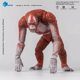 HIYA TOYS Godzilla vs. Kong 2 The New Empire Scar