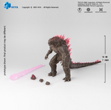 HIYA Godzilla x Kong New Empire Godzilla EVOLVED VER 2.0 EGB0439